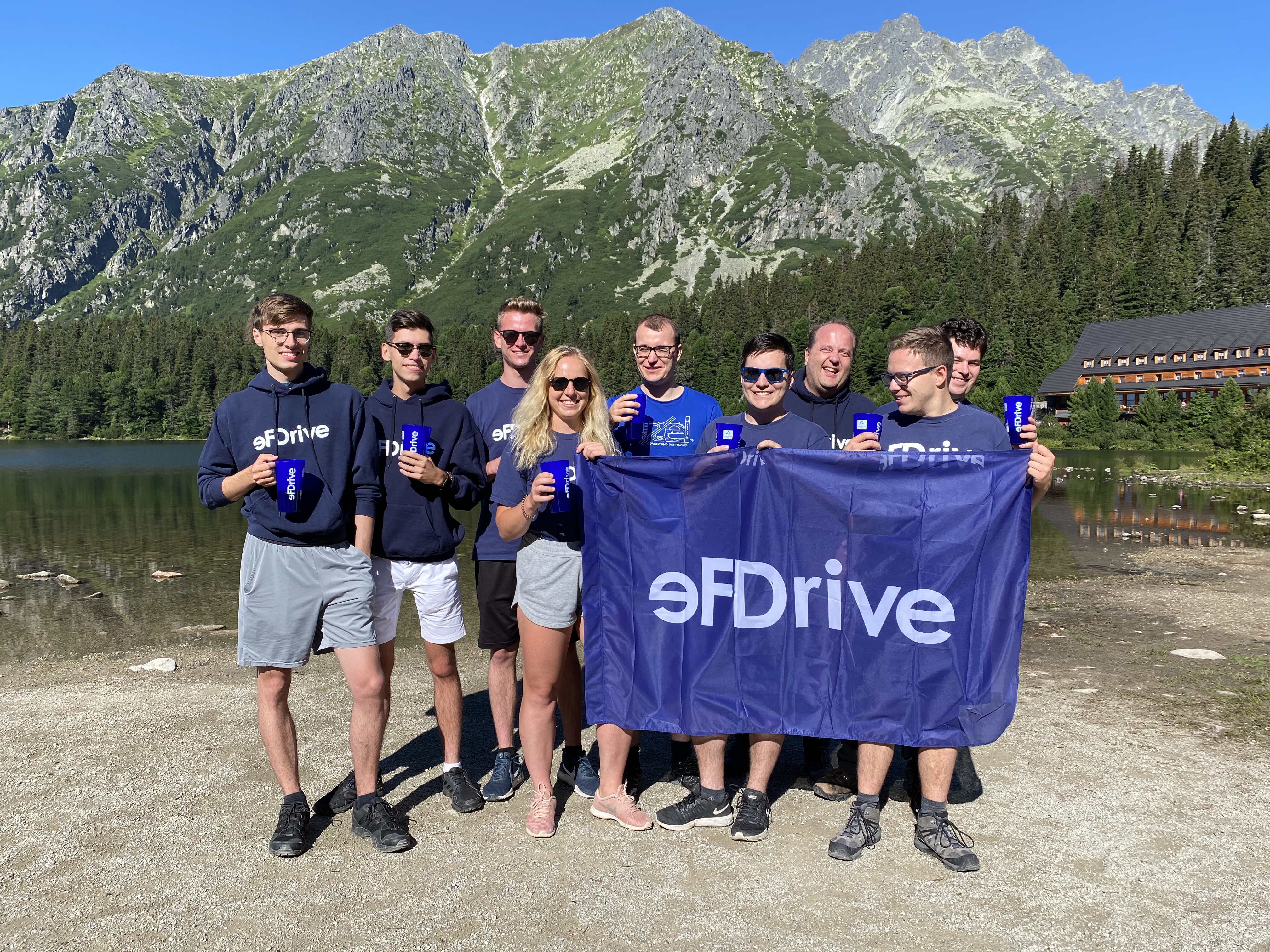 eFDrive